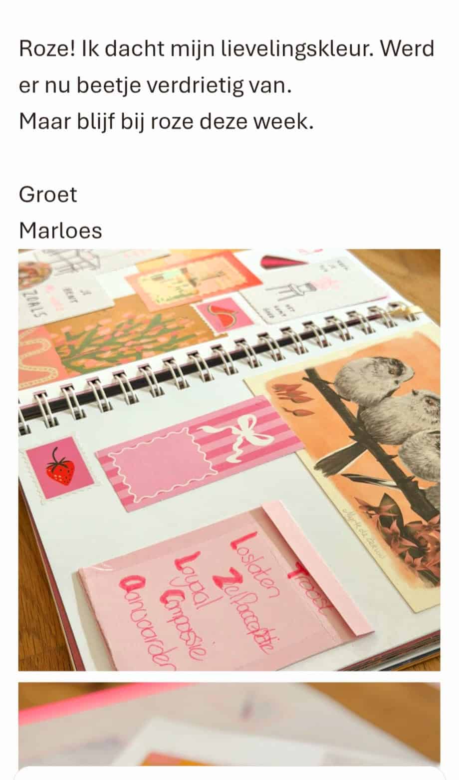 kleuren-van-geluk-lezer-collage.jpg